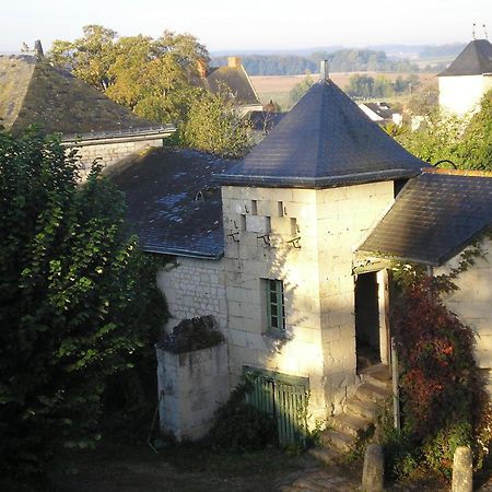 Manoir De Boisairault Bed and Breakfast Le Coudray-Macouard Εξωτερικό φωτογραφία
