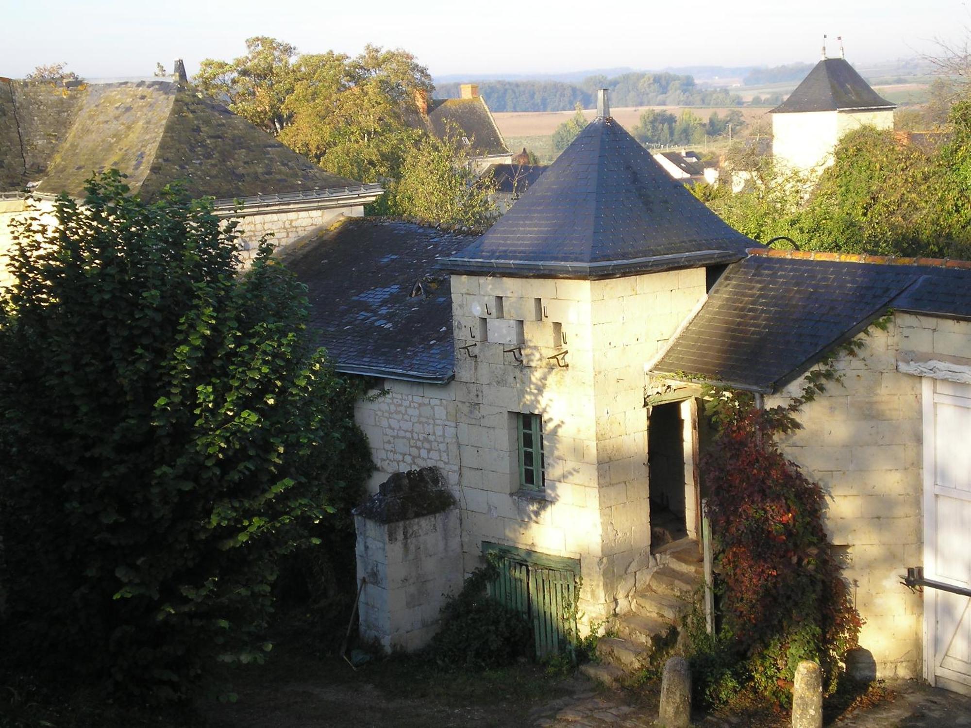 Manoir De Boisairault Bed and Breakfast Le Coudray-Macouard Εξωτερικό φωτογραφία
