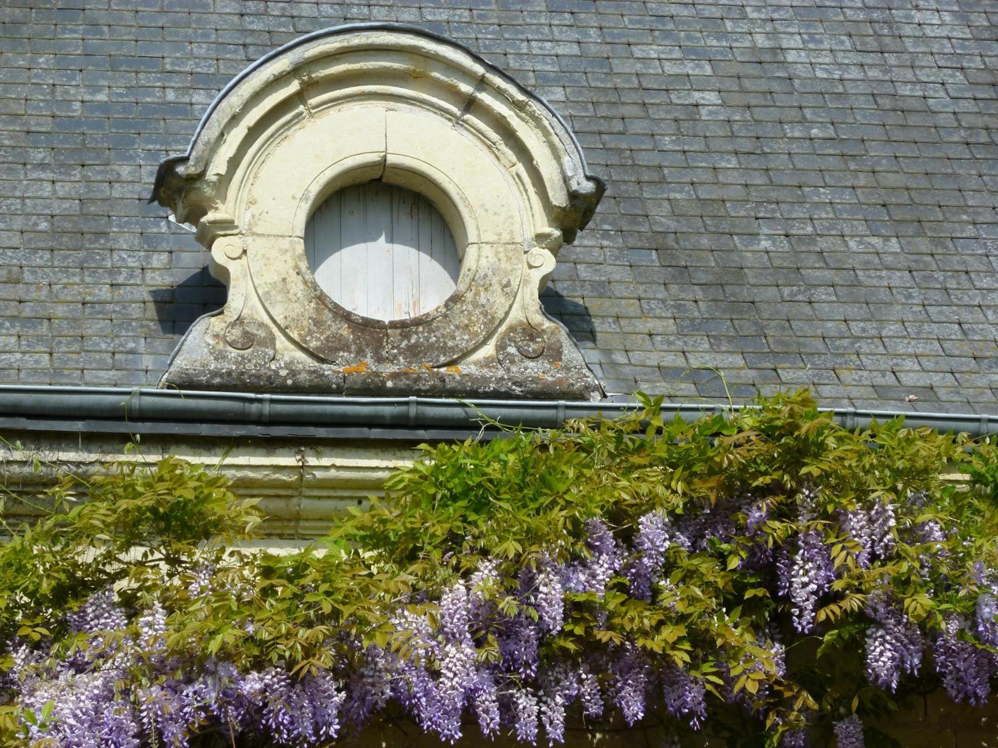 Manoir De Boisairault Bed and Breakfast Le Coudray-Macouard Εξωτερικό φωτογραφία