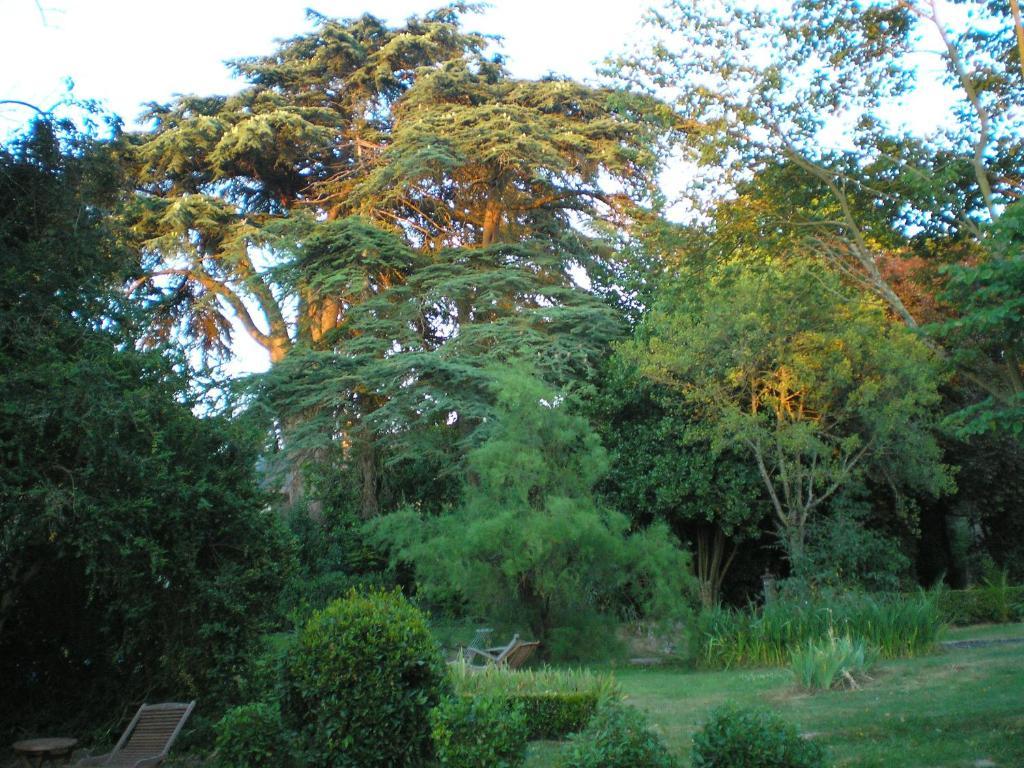 Manoir De Boisairault Bed and Breakfast Le Coudray-Macouard Εξωτερικό φωτογραφία