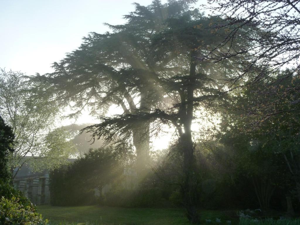 Manoir De Boisairault Bed and Breakfast Le Coudray-Macouard Εξωτερικό φωτογραφία