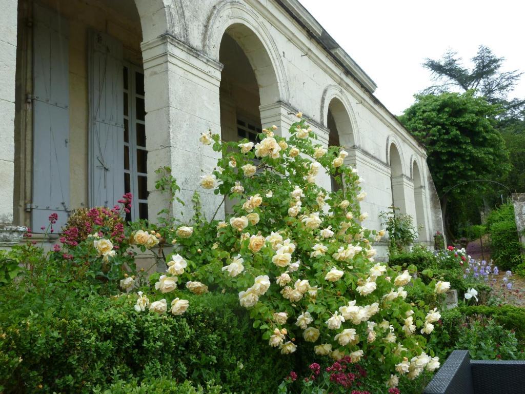 Manoir De Boisairault Bed and Breakfast Le Coudray-Macouard Εξωτερικό φωτογραφία