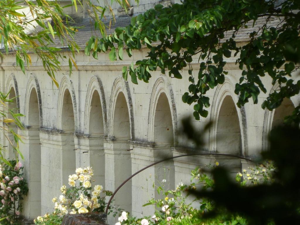 Manoir De Boisairault Bed and Breakfast Le Coudray-Macouard Εξωτερικό φωτογραφία