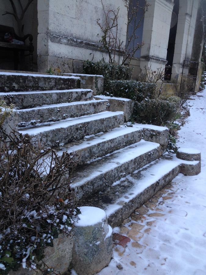 Manoir De Boisairault Bed and Breakfast Le Coudray-Macouard Εξωτερικό φωτογραφία